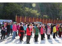 2025년 회남면 군민건강 걷기대회 [2025. 4. 19.]