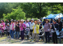 내북면 건강걷기 대회 [2026. 06. 10.]