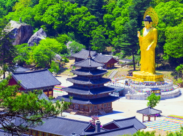 지역사진