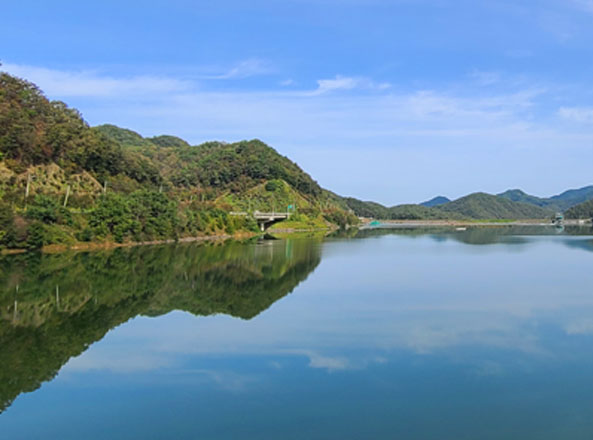 지역사진