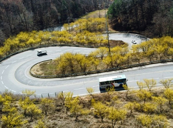 지역사진